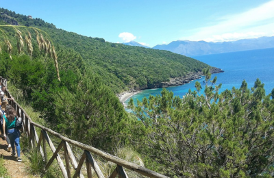 Trekking nel Parco Nazionale del Cilento – sentieri Valle delle Orchidee e Monte Cervati 1898m
