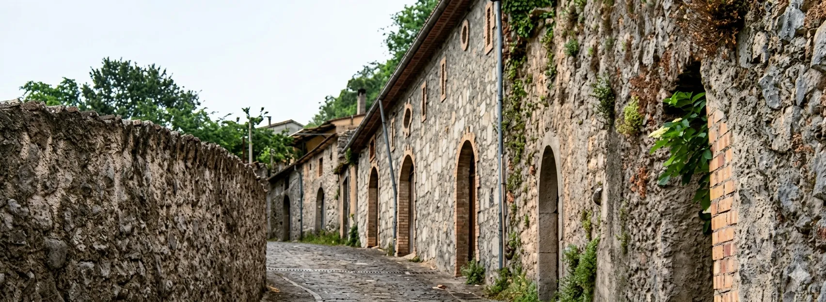 Pacchetto Tour Via Bacco San Gregorio Magno – 600 cantine nella roccia Cilento